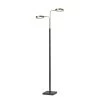 Rowan 71 Inch Reading Lamp By Adesso