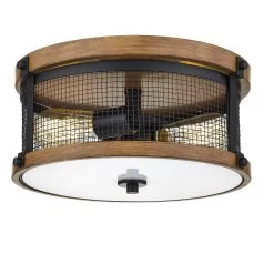 Mesa 13 Inch 2 Light Flush Mount By Millennium Lighting