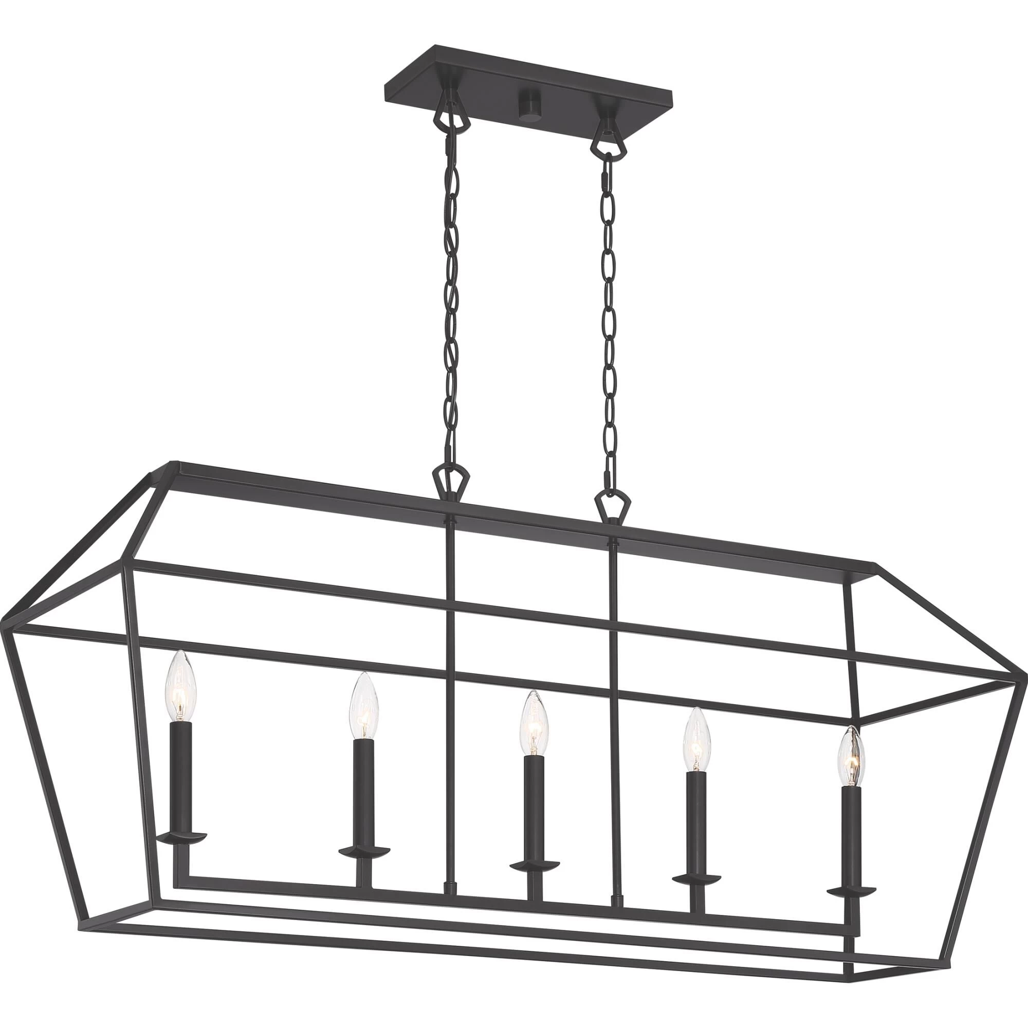 Aviary 42 Inch 5 Light Linear Suspension Light By Quoizel - Image 2