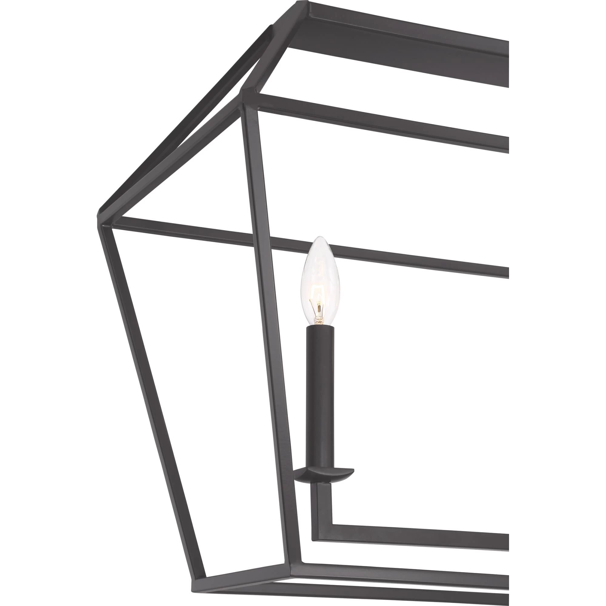 Aviary 42 Inch 5 Light Linear Suspension Light By Quoizel - Image 5